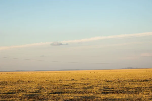 Prairie. et Larga ZONE Ouverte des prairies , — Photo