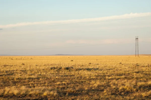 Teppe, prérie, veld, veldt — Stock fotografie