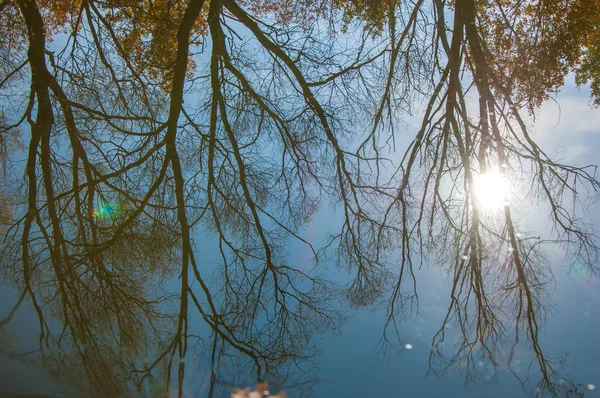 Herbstliche Ruhe am See Spiegelung der Bäume im Wasser — Stockfoto