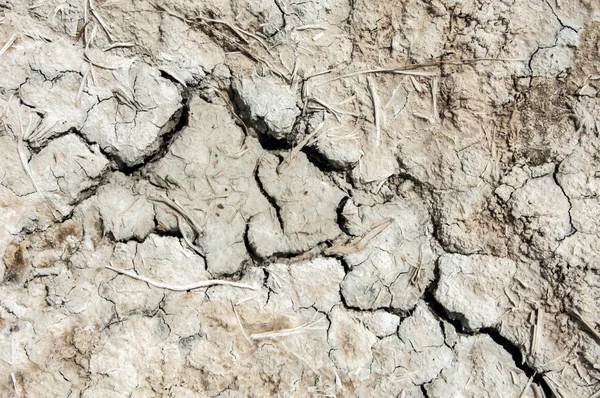 El suelo está cubierto de grietas, erosión, tierra, sequía — Foto de Stock