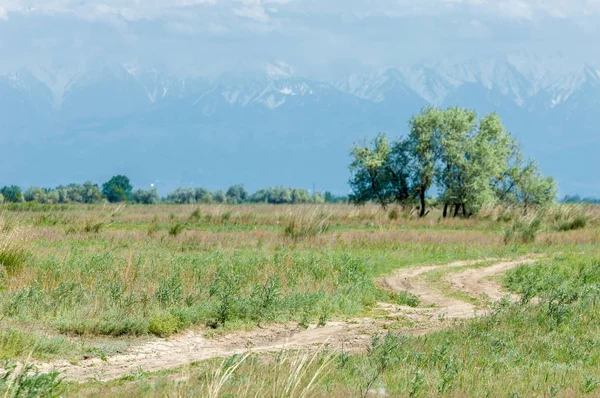 Steppe — Stockfoto