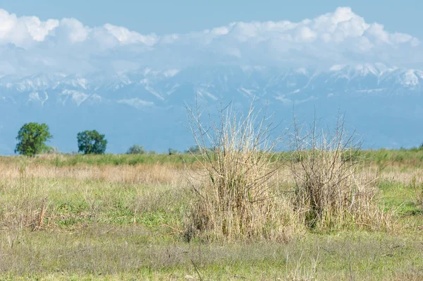 Steppe — Stockfoto