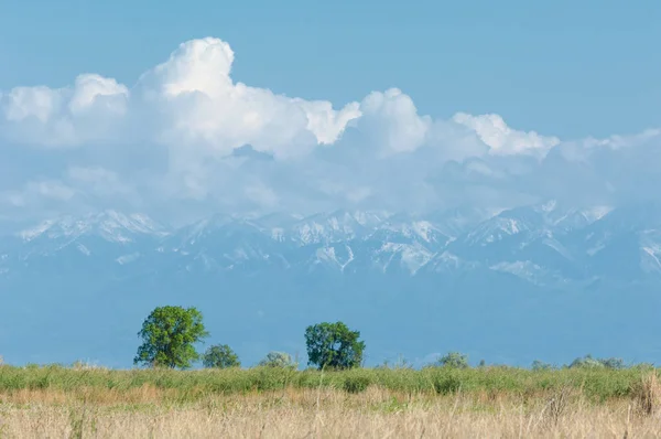 Steppe — Stockfoto