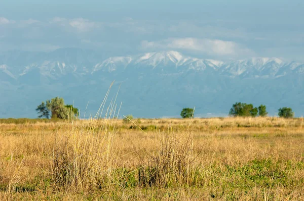 Steppe — Stockfoto