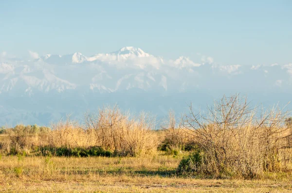 Steppe — Stockfoto