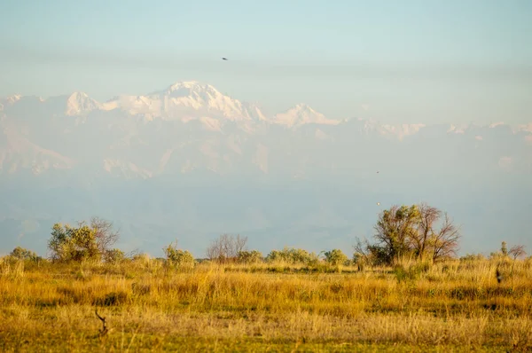 Steppe — Stockfoto