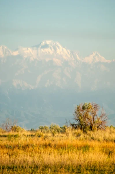 Steppe — Stockfoto