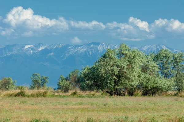 Steppe — Stockfoto