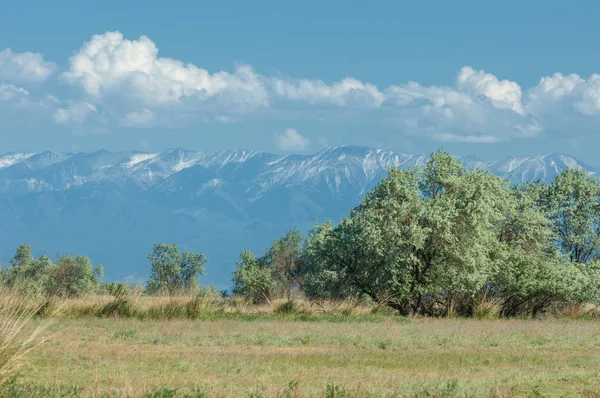 Steppe — Stockfoto