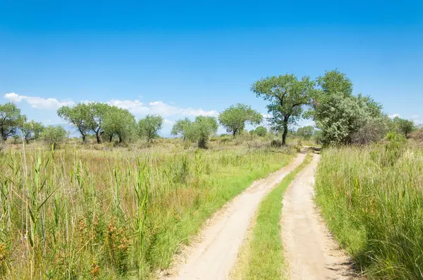 Bozkır yaz. Turgai Kaydet. Çölde Gölü