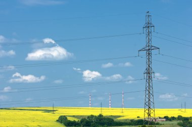  elektrik direkleri. kolza tohumu field.blue gökyüzü. iyi bir ruh hali