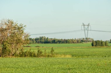 Elektrik tedariği için kutuplar