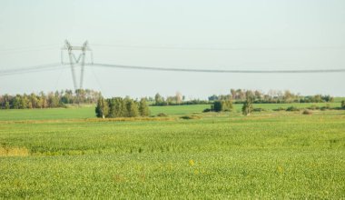 Elektrik tedariği için kutuplar