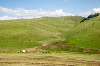 dağ, dağ, tepe