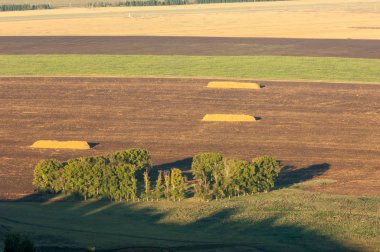 Yaz aylarında taze sürülmüş alan, saman yığınları, kavak