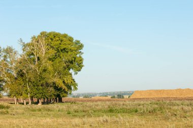 Yaz aylarında taze sürülmüş alan, saman yığınları, kavak