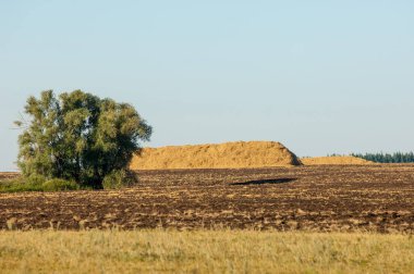 Yaz aylarında taze sürülmüş alan, saman yığınları, kavak