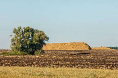 Yaz aylarında taze sürülmüş alan, saman yığınları, kavak