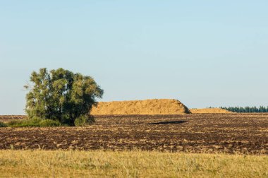 Yaz aylarında taze sürülmüş alan, saman yığınları, kavak