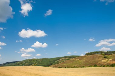 Hills buğday alanı. 