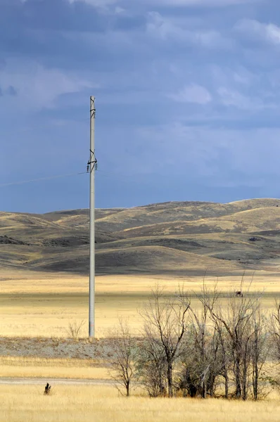 Elektriska inlägg i ett fält och blå himmel — Stockfoto