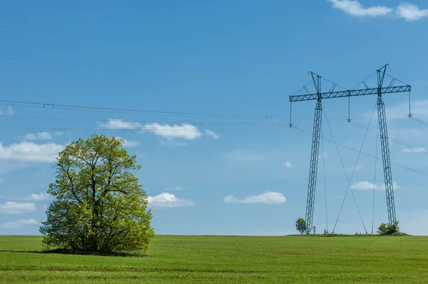Электрический столб в поле и голубом небе — стоковое фото