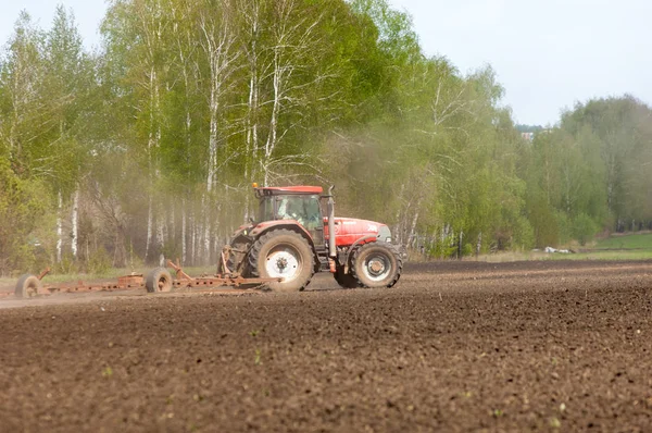 Tractor produces grain crops — Stock Photo, Image