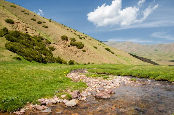 Montaña, monte, colina — Foto de Stock