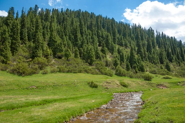 Mountain, mount, hill — Stock Photo, Image