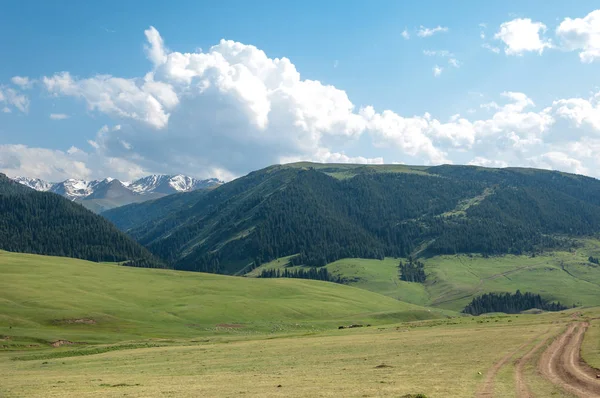 Horská silnice. Hora, vrch — Stock fotografie