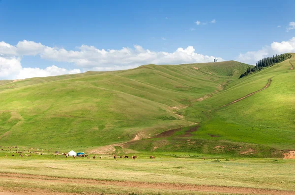 Berg, mount, hill — Stockfoto