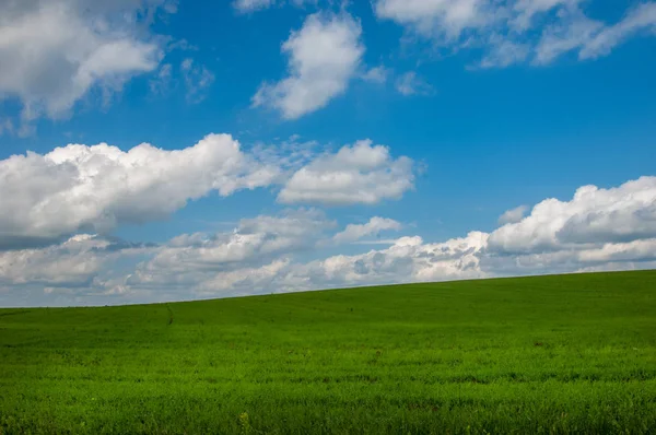 Summer country road