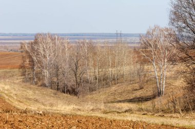 Bahar manzarası. Taze sürülmüş tarla. Tepe arazisi. Ağaçların zekası