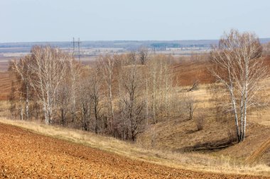 Bahar manzarası. Taze sürülmüş tarla. Tepe arazisi. Ağaçların zekası