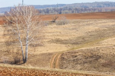 Bahar manzarası. Taze sürülmüş tarla. Tepe arazisi. Ağaçların zekası