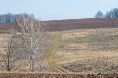 Bahar manzarası. Taze sürülmüş tarla. Tepe arazisi. Ağaçların zekası