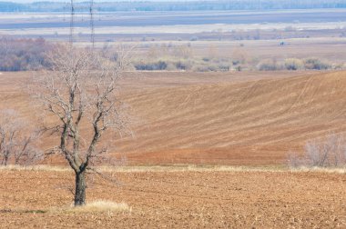 Bahar manzarası. Taze sürülmüş tarla. Tepe arazisi. Ağaçların zekası