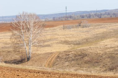 Bahar manzarası. Taze sürülmüş tarla. Tepe arazisi. Ağaçların zekası