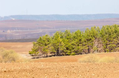 Bahar manzarası. Pınar tarlasında enerji sütunları. Hilly Terr