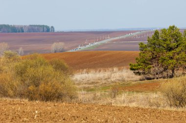 Bahar manzarası. Taze sürülmüş tarla. Tepe arazisi. Ağaçların zekası