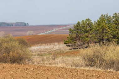 Bahar manzarası. Taze sürülmüş tarla. Tepe arazisi. Ağaçların zekası