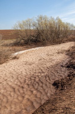 Bahar manzarası. Bahar tarlasındaki son kar. tepelik terra