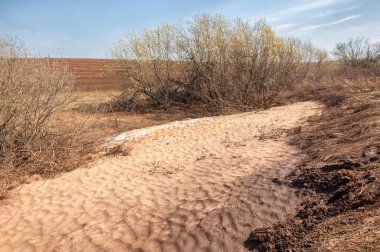 Bahar manzarası. Bahar tarlasındaki son kar. tepelik terra
