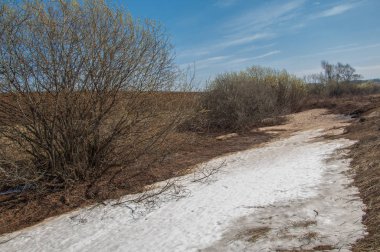 Bahar manzarası. Bahar tarlasındaki son kar. tepelik terra