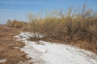 Bahar manzarası. Bahar tarlasındaki son kar. tepelik terra