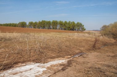 Bahar manzarası. Bahar tarlasındaki son kar. tepelik terra