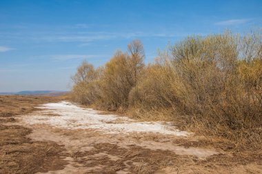 Bahar manzarası. Bahar tarlasındaki son kar. tepelik terra
