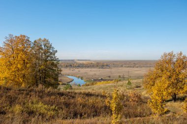 Sonbahar manzarası, huş ağaçları, akçaağaç ağaçları sonbaharda boyandı.