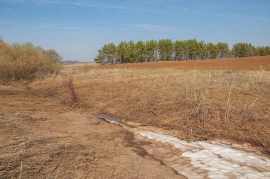 Bahar manzarası. Bahar tarlasındaki son kar. tepelik terra