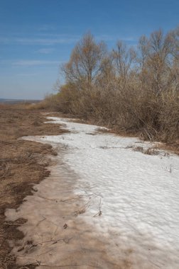 Bahar manzarası. Bahar tarlasındaki son kar. tepelik terra